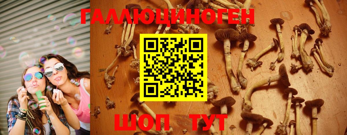 магазин продажи наркотиков  Вход с VPN  Электрогорск  Галлюциногенные грибы мухоморы 